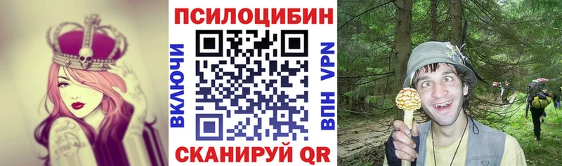 Купить  Ивантеевка  Галлюциногенные грибы MAGIC MUSHROOMS 