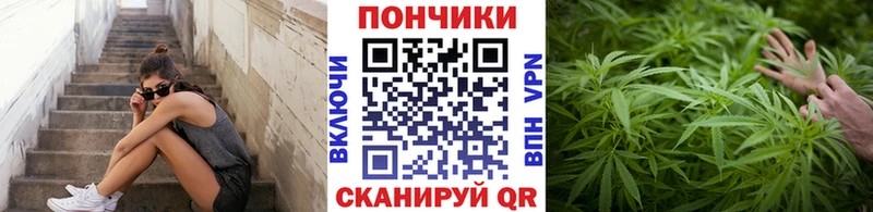 Бошки Шишки THC 21%  Купить где  Ивантеевка 